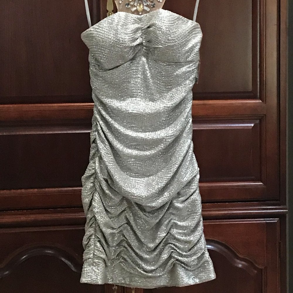 Beautiful Silver with gold accents Party dress